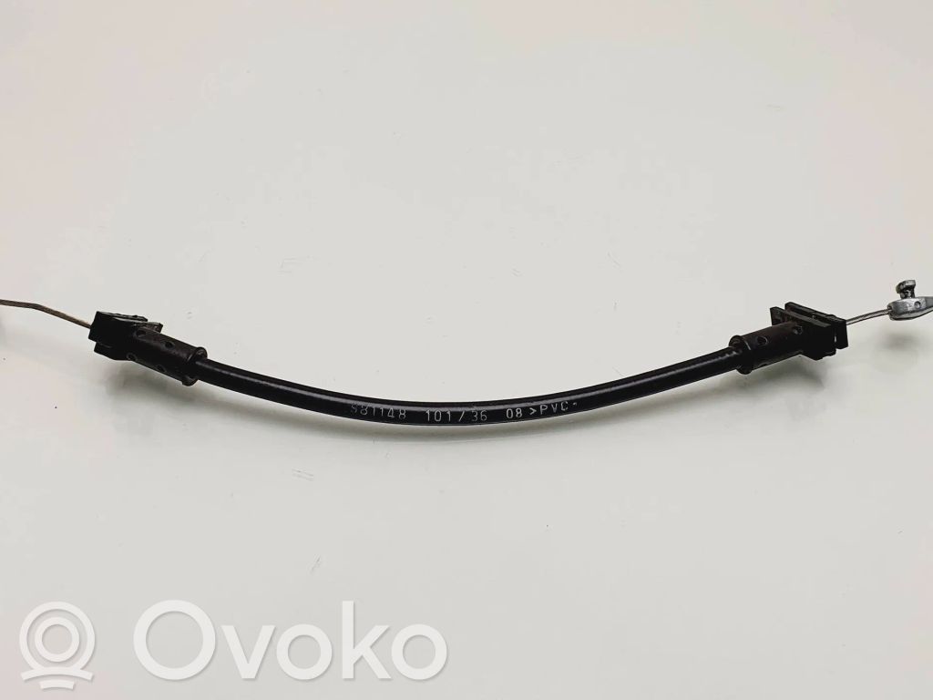 Trosīte   981148