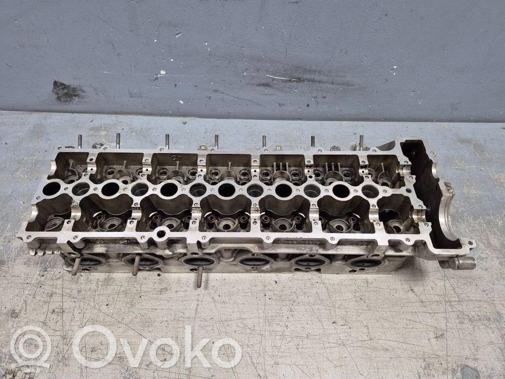Galvutė   77927539