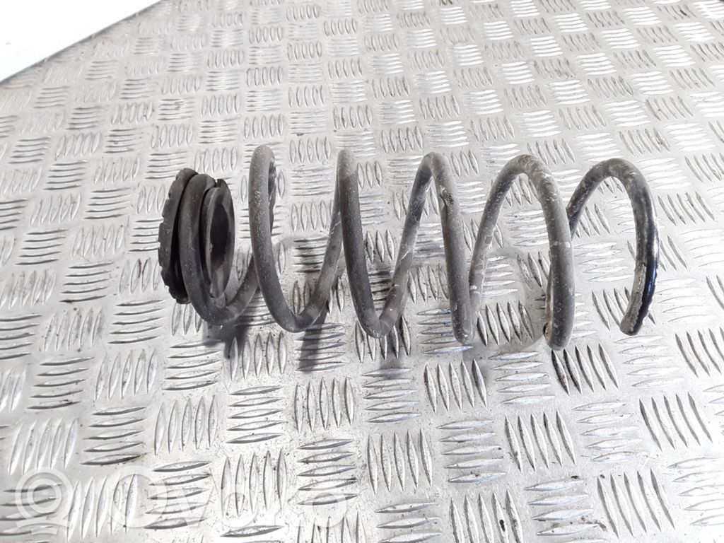 Rear coil spring