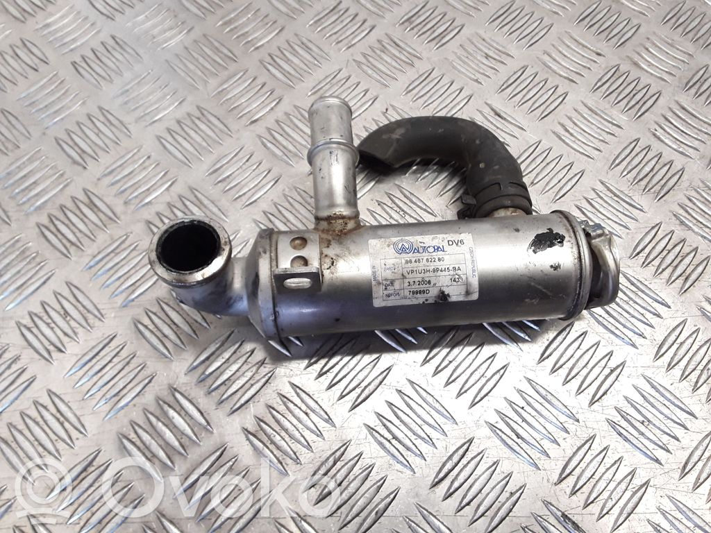 Peugeot 407 EGR dzesētājs 