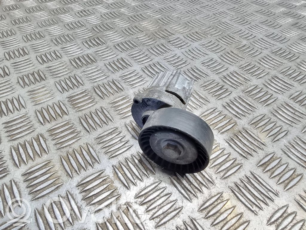 Volkswagen PASSAT B7 Napinacz paska alternatora 