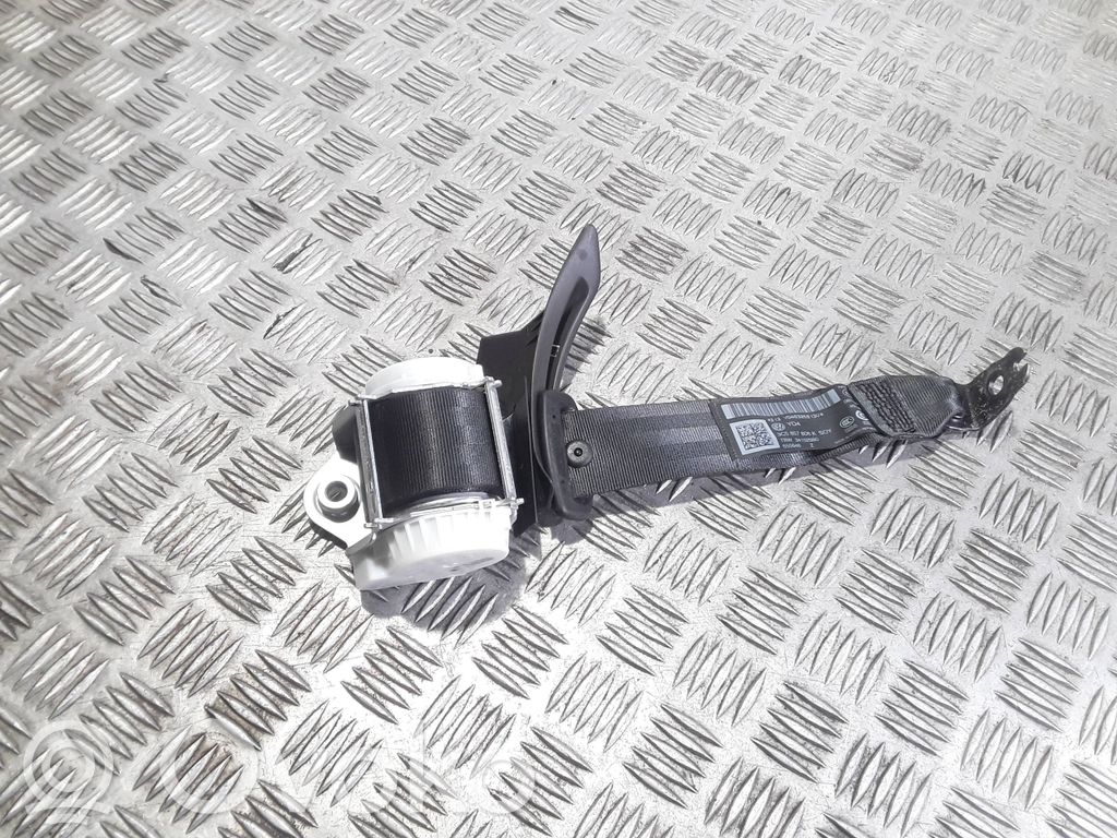 Volkswagen PASSAT B7 Cinturón trasero 
