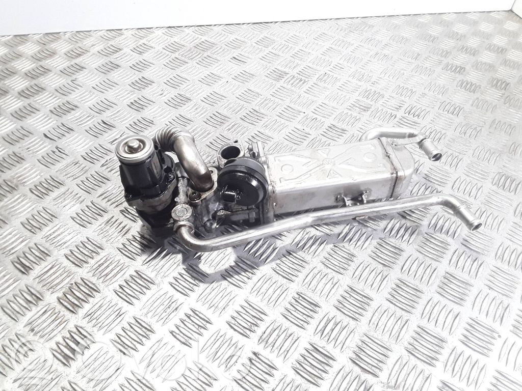 Skoda Roomster (5J) Chłodnica spalin EGR 
