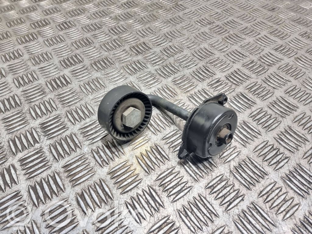 BMW 5 E39 Tendicinghia generatore/alternatore 