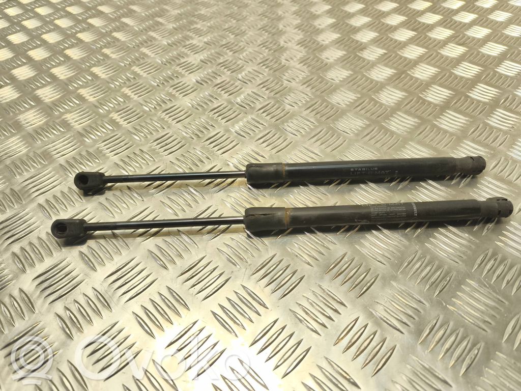 Tailgate/trunk strut/damper   904520004R