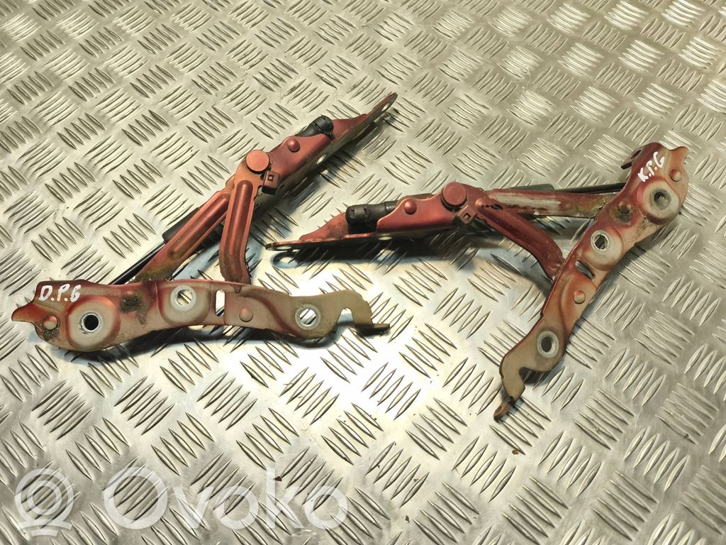 Tailgate/trunk/boot hinge   31278321