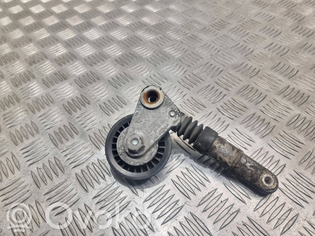 Volkswagen PASSAT B6 Napinacz paska alternatora 