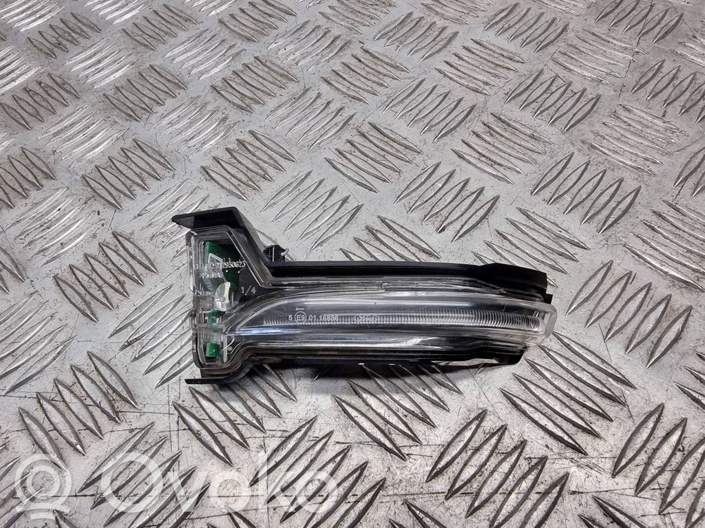 Ford Focus Spiegelblinker 