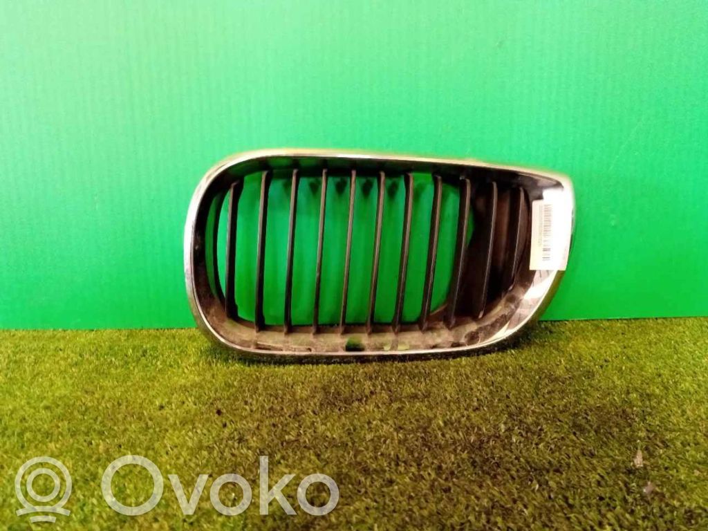 BMW 3 E46 Front grill 