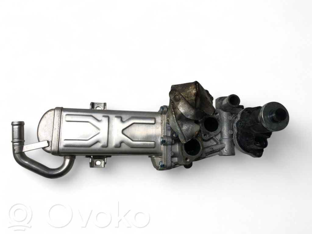 Volkswagen Tiguan EGR valve cooler 