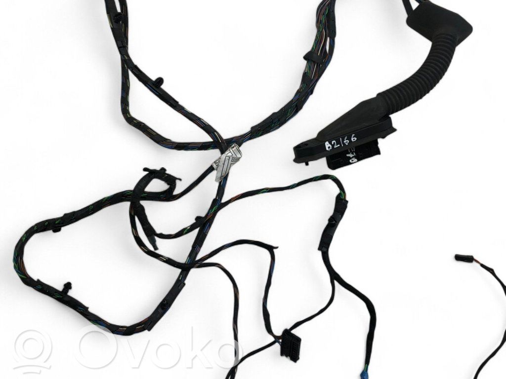 BMW X5 E70 Cableado de puerta trasera 