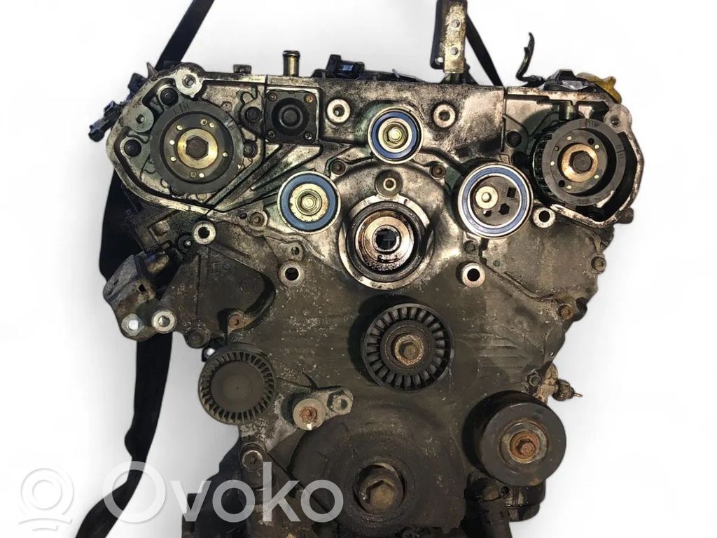 Engine   Y30DT
