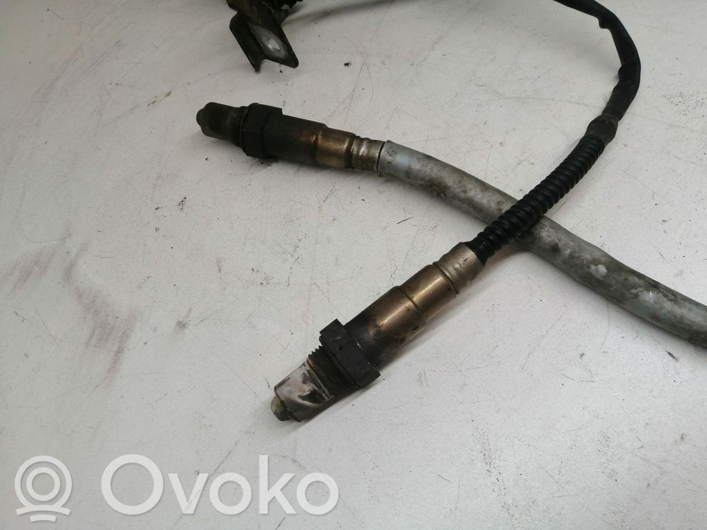 Sonda lambda   258006623,55353148,489211