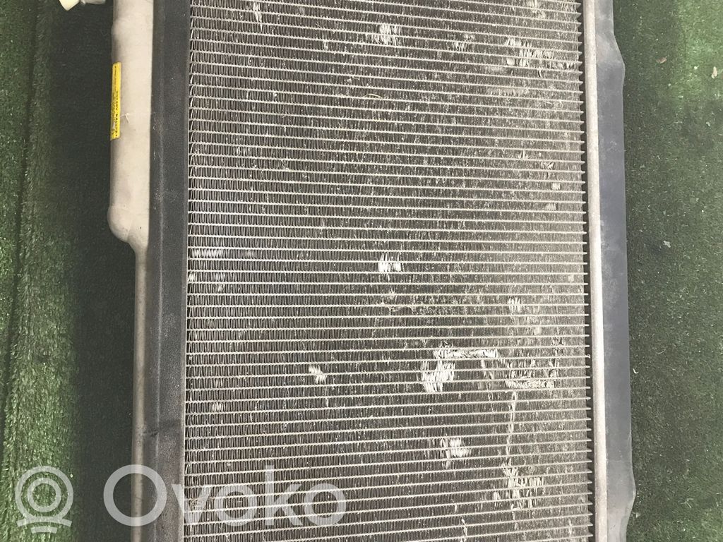 Dzesēšanas šķidruma radiators   080618