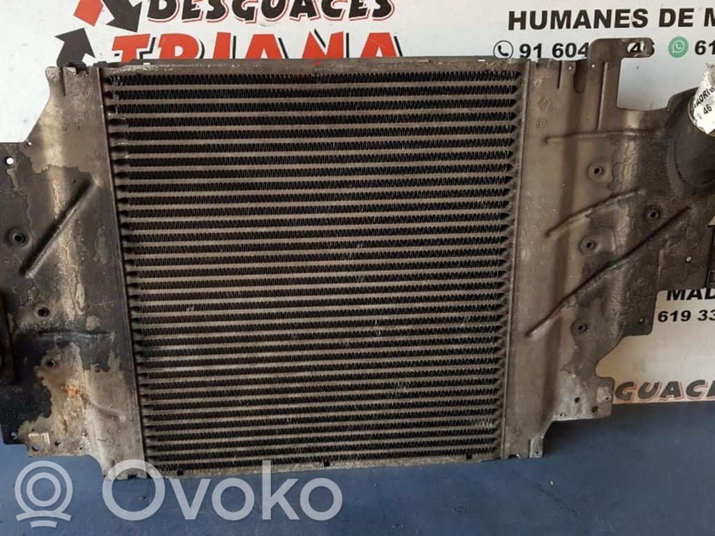 Interkūlerio radiatorius   8200252209
