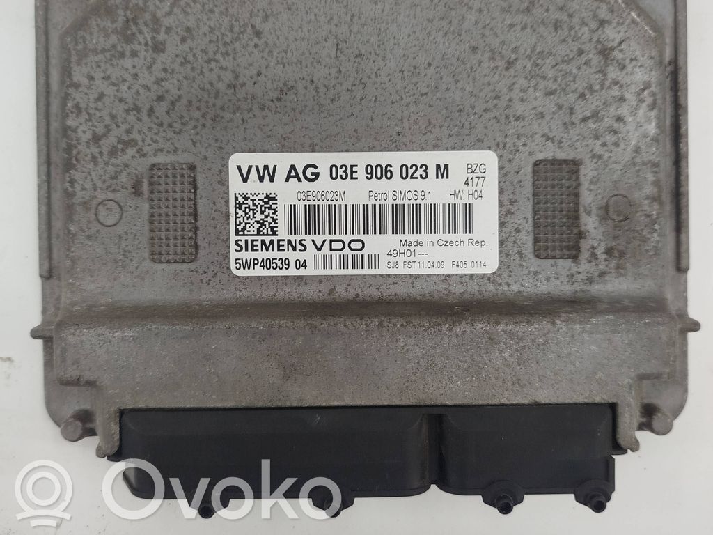 Seat Ibiza III (6L) Engine control unit/module 