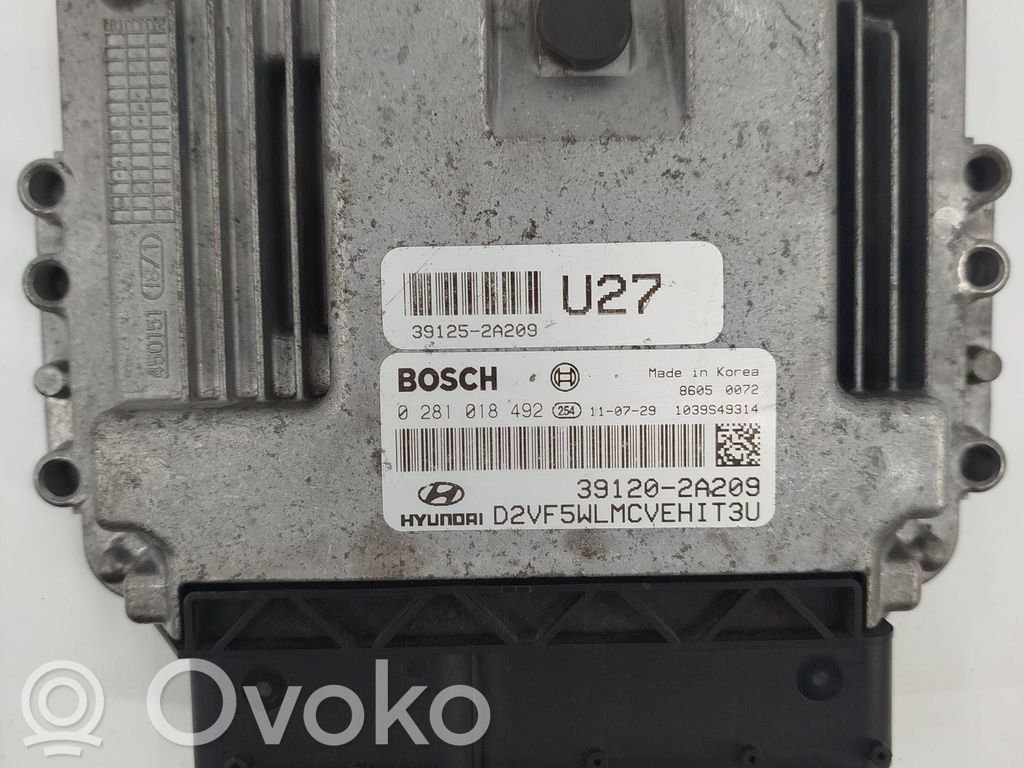 Engine control unit/module   391202A209,391252A209,0281018492
