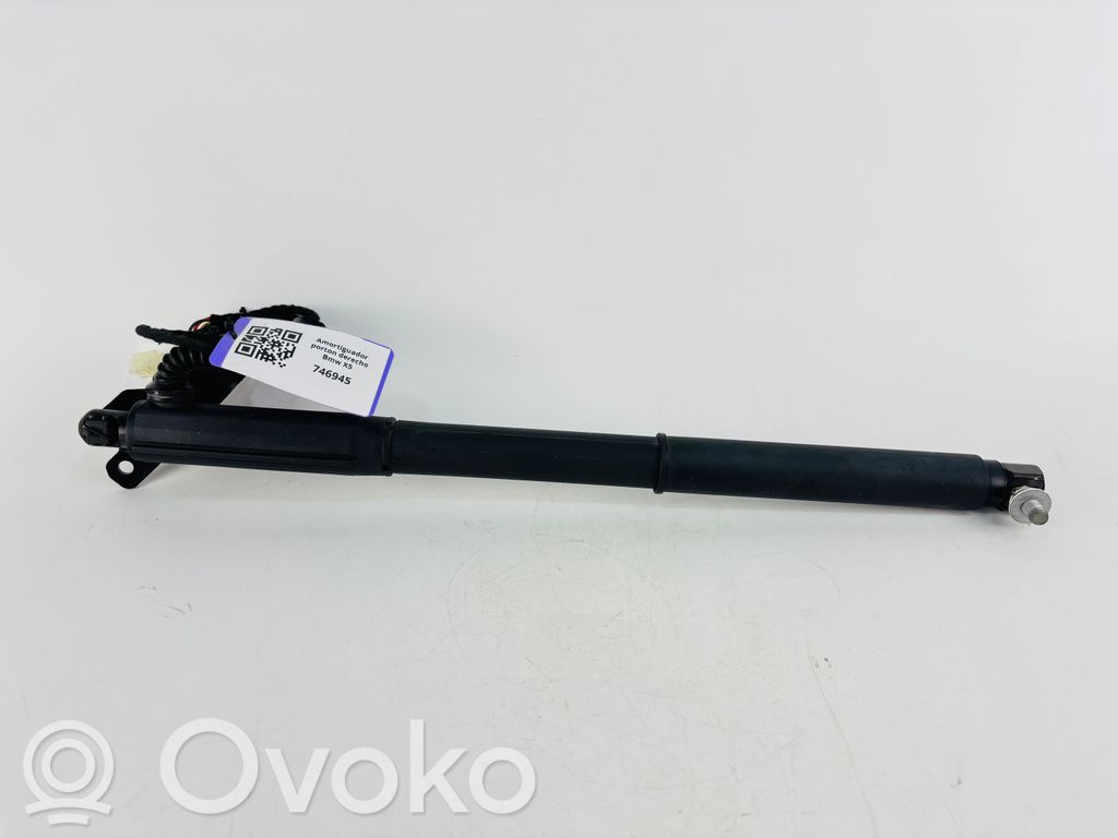 Tailgate/trunk strut/damper   7286116,7332696,51247332696