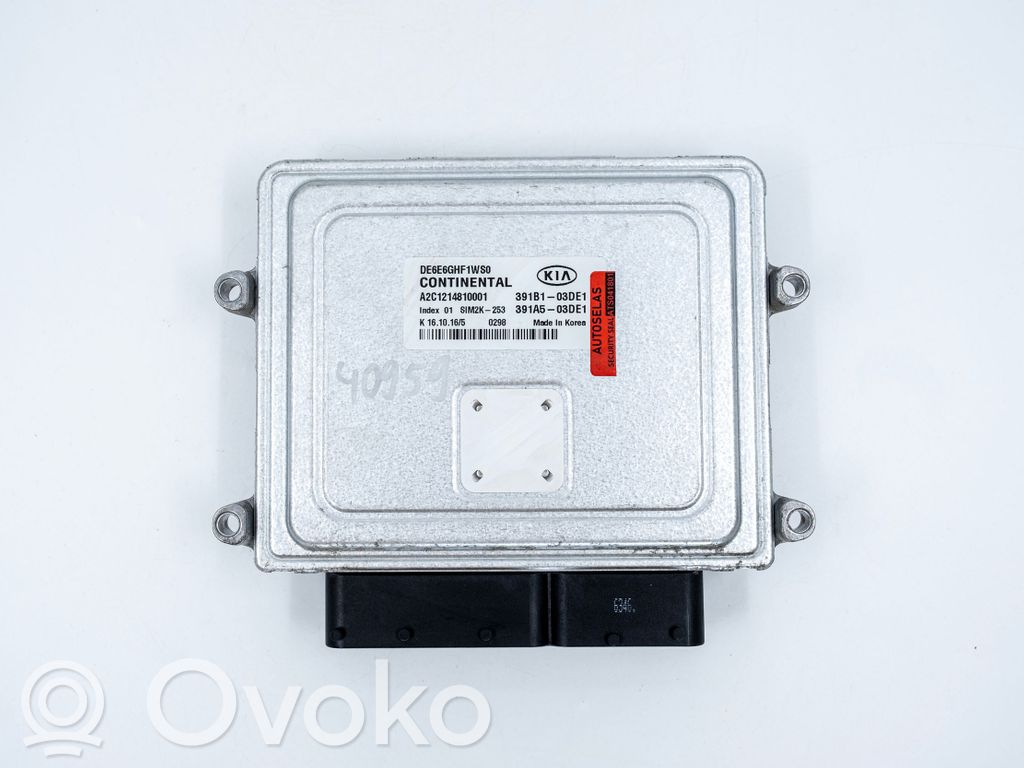 KIA Niro Engine control unit/module 