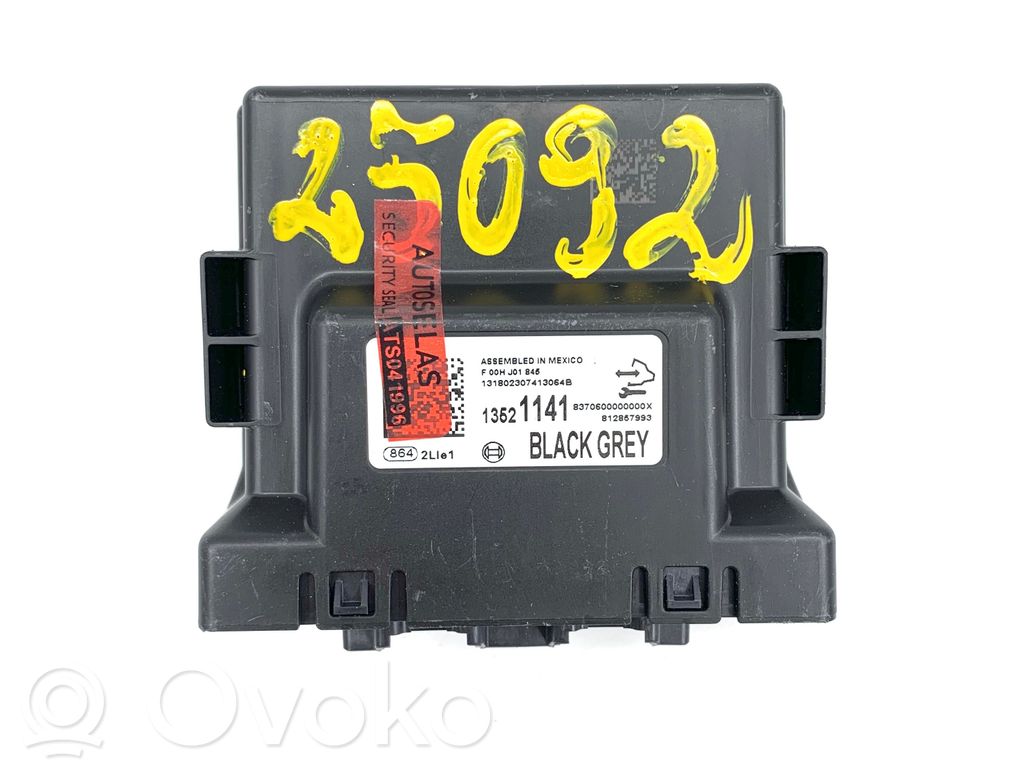 Opel Ampera- E Module confort 