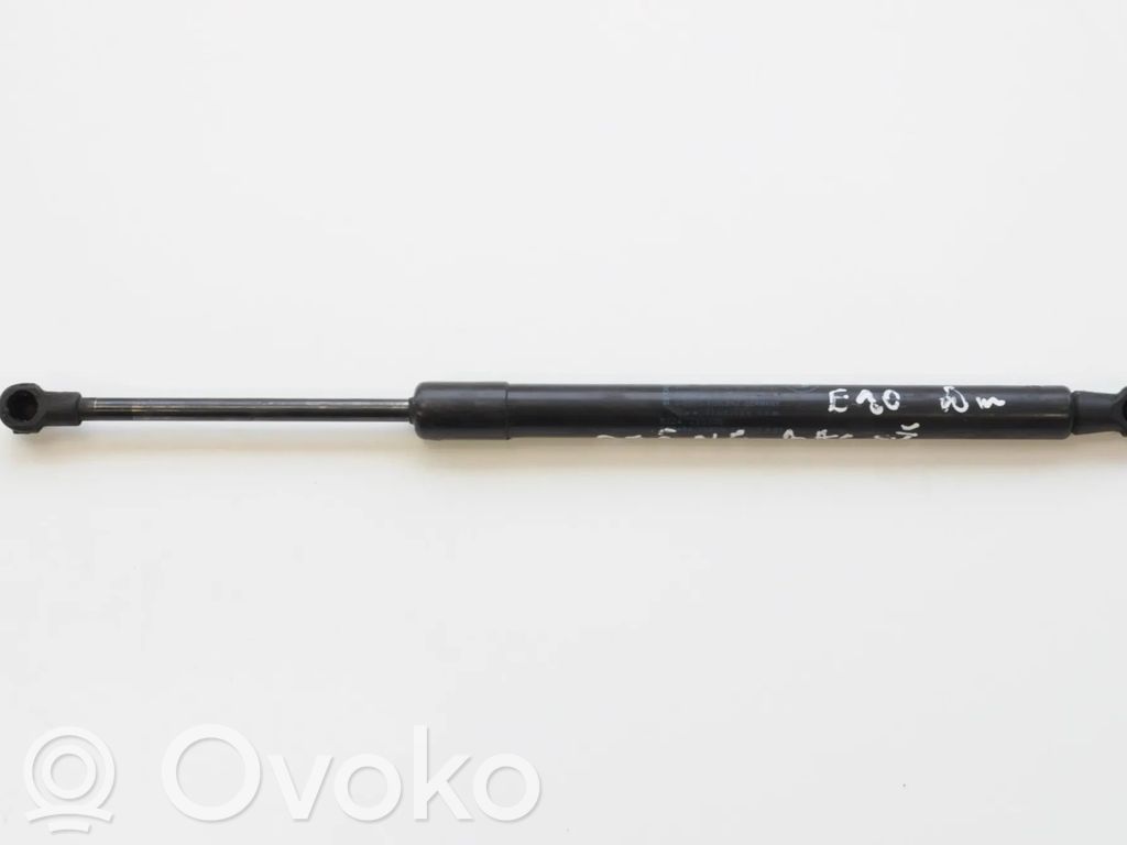 Tailgate/trunk strut/damper