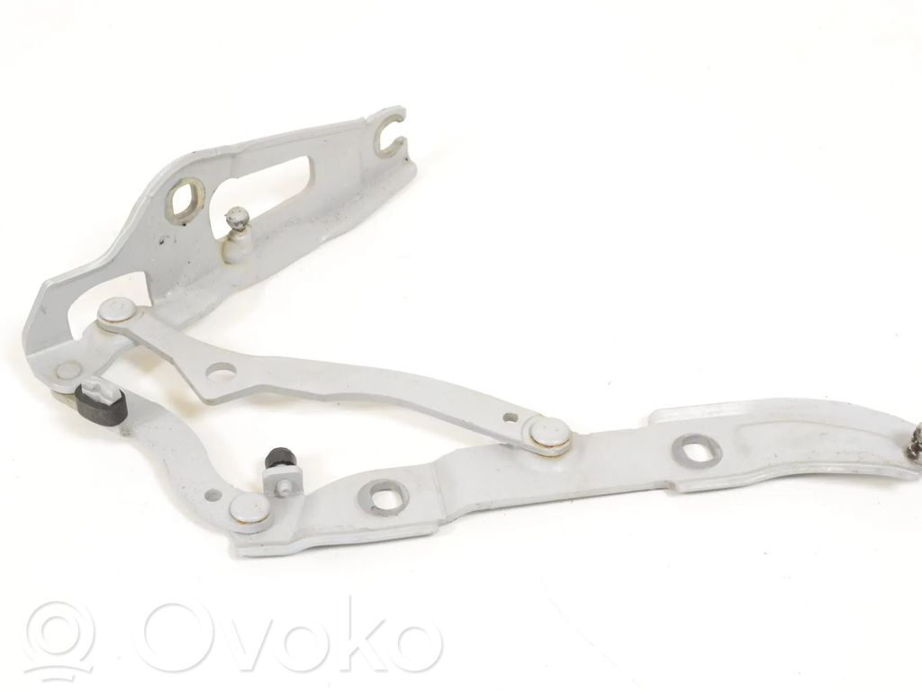 Tailgate/trunk/boot hinge   7060628