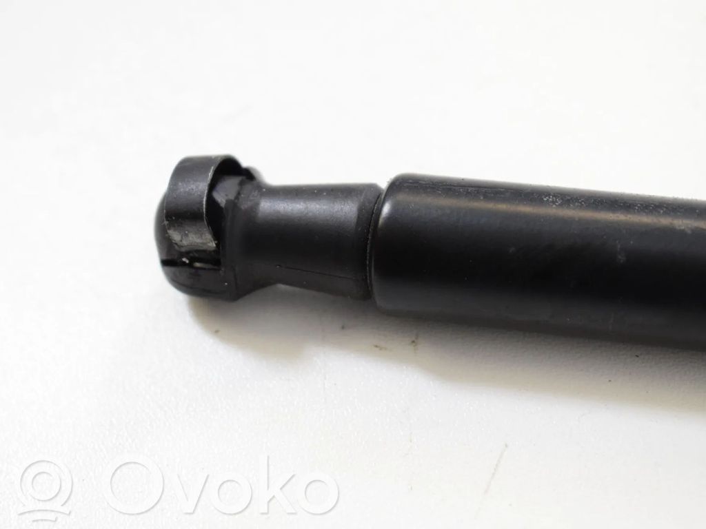 Tailgate/trunk strut/damper   7129194