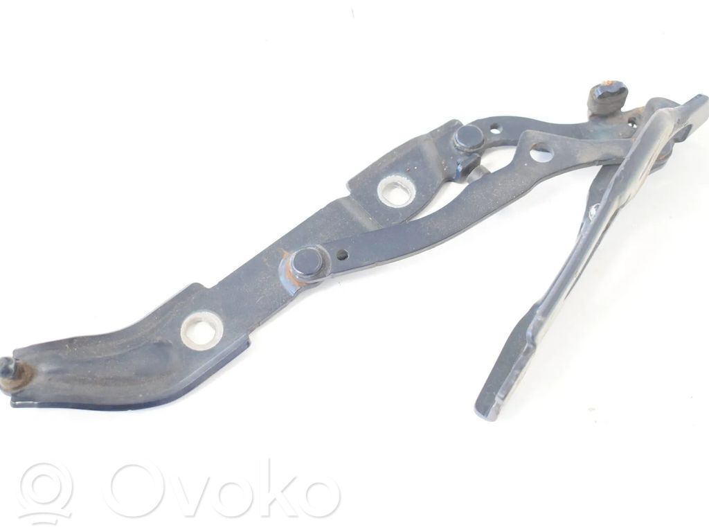 Tailgate/trunk/boot hinge   7060628