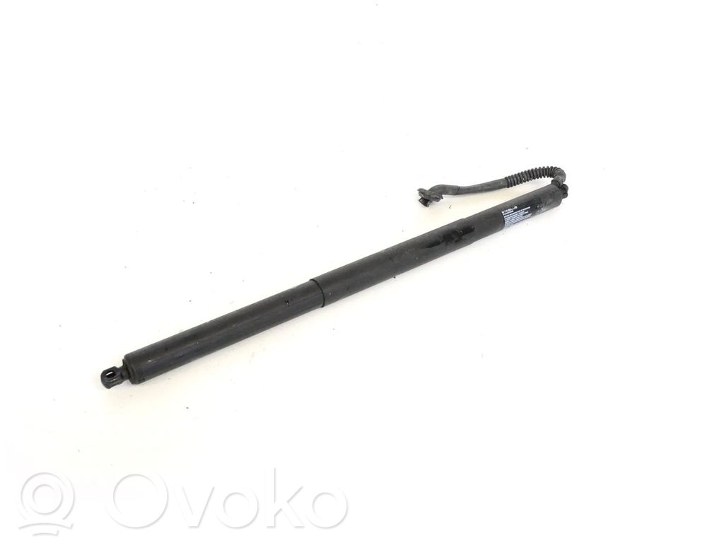 Tesla Model S Tailgate/trunk strut/damper 