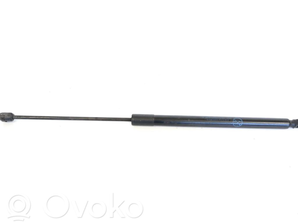 Ford Focus Tailgate/trunk strut/damper 