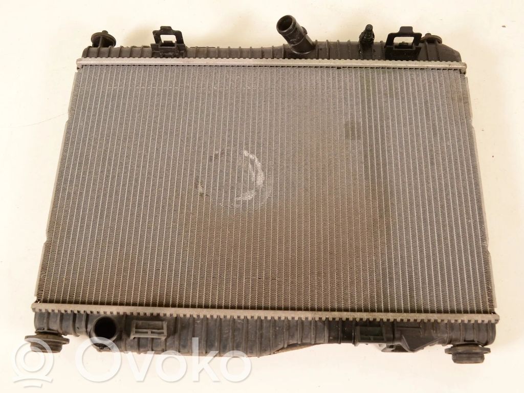 Ford Ecosport Dzesēšanas šķidruma radiators 