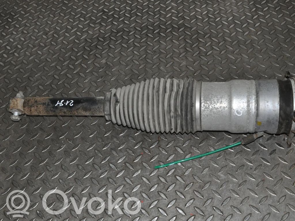 Amortyzator zawieszenie pneumatycznego osi tylnej   600635307A