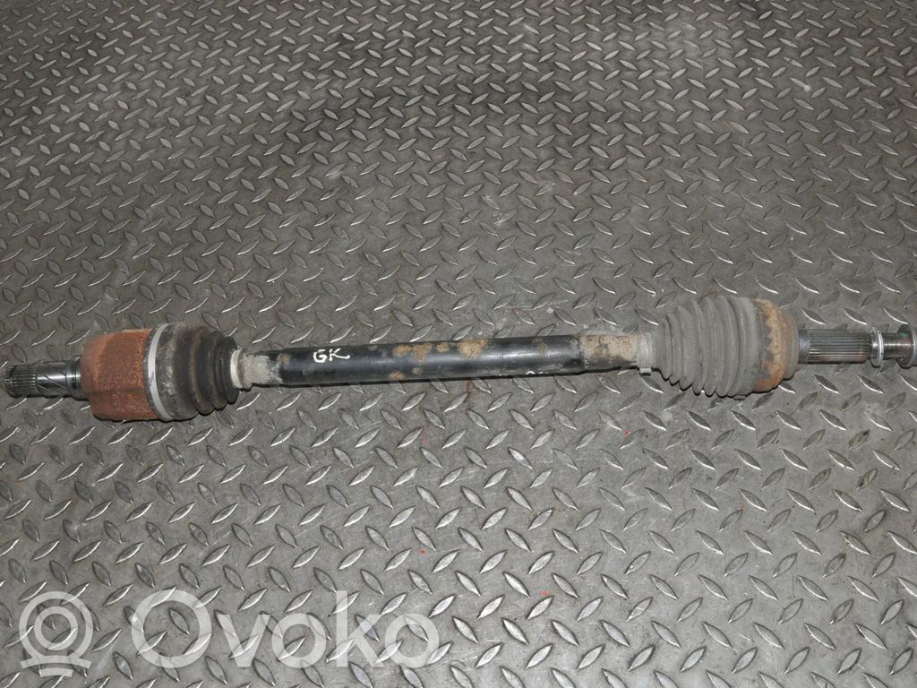 Galinis pusašis   100771901A