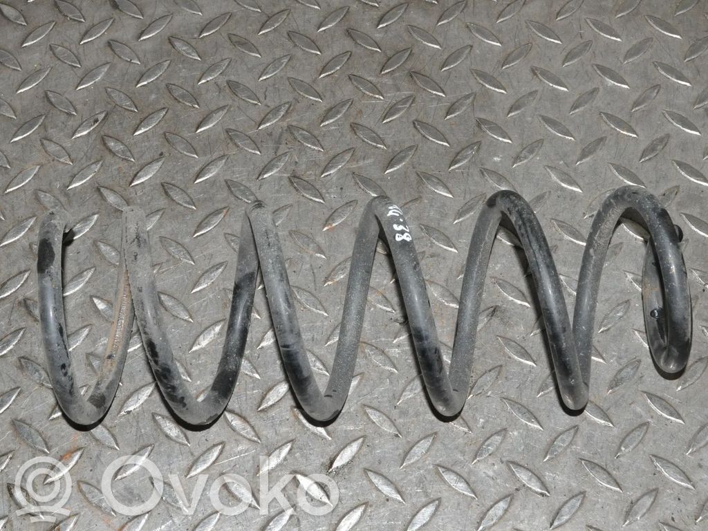 Rear coil spring