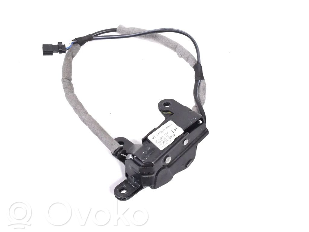 Tailgate/trunk/boot lock/catch/latch   7195099