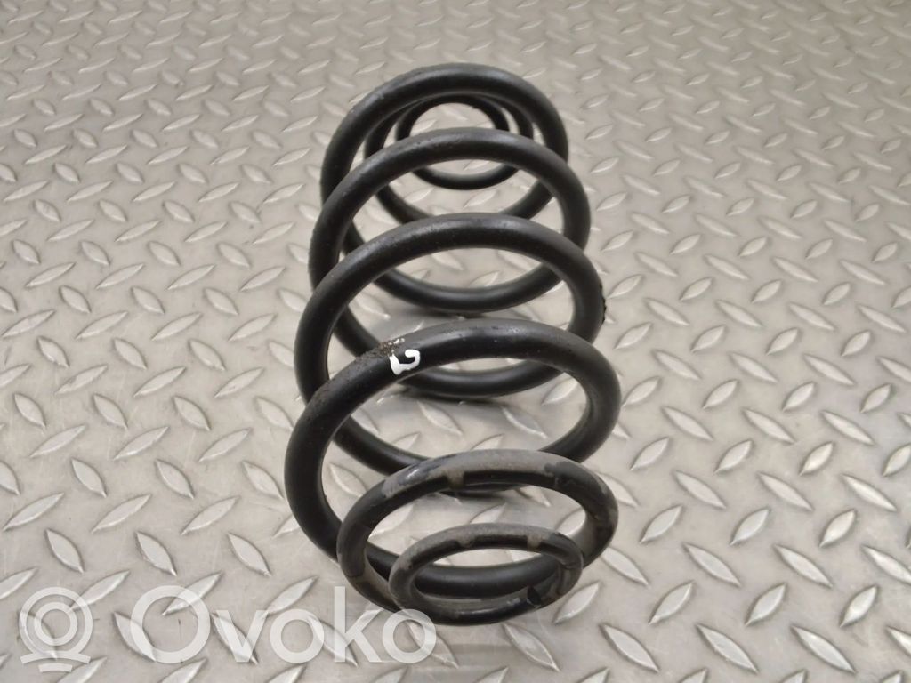 Rear coil spring
