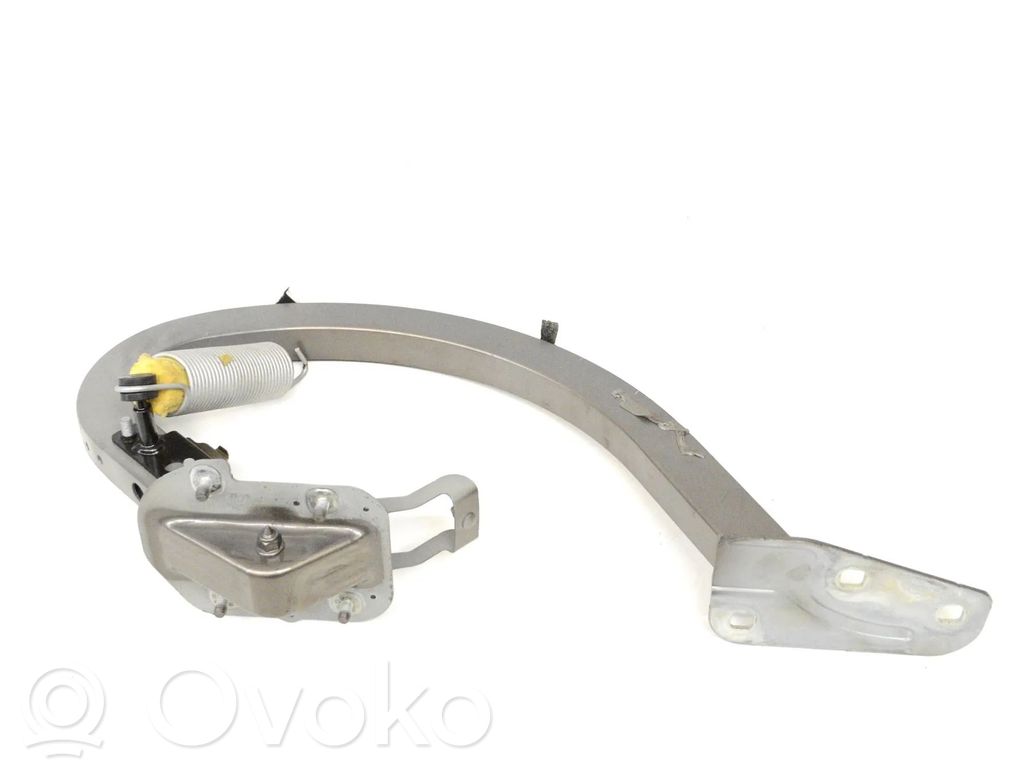Tailgate/trunk/boot hinge   GX7342700AE