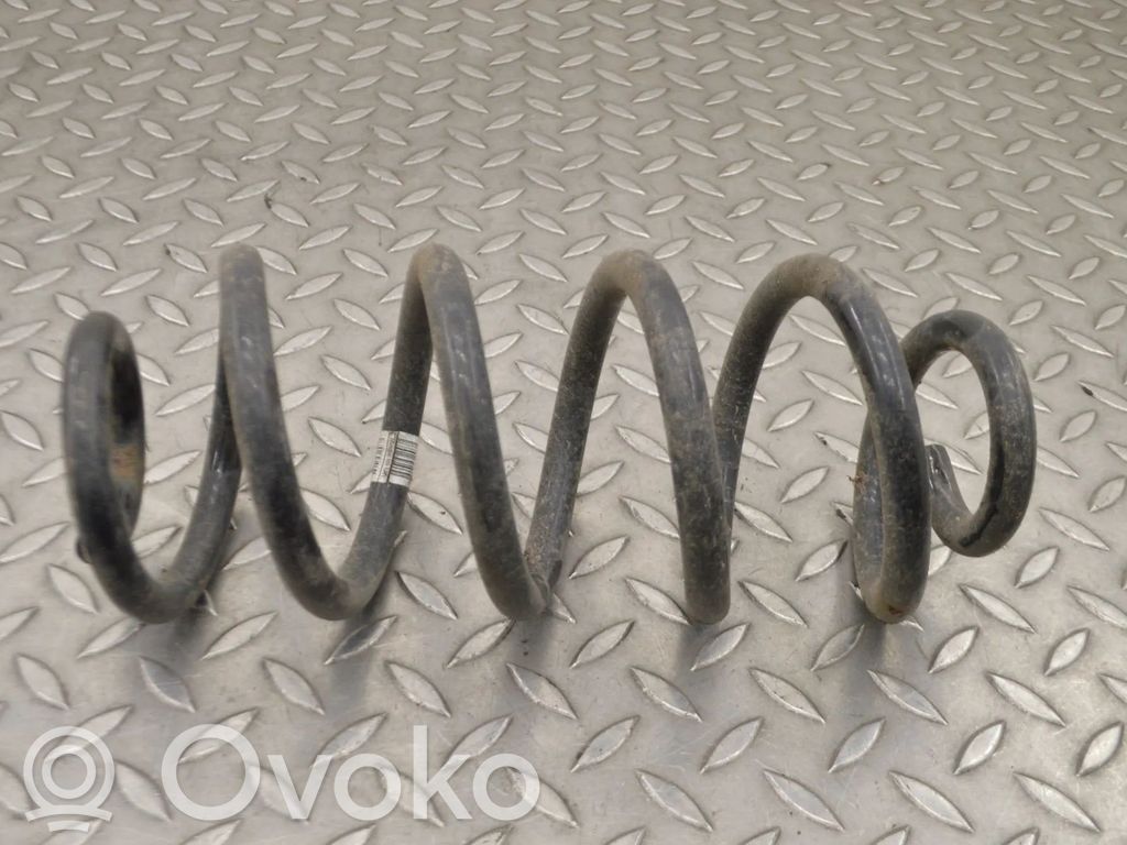 Rear coil spring