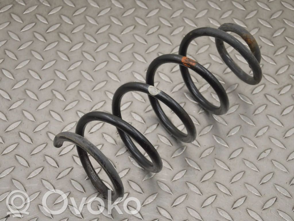 Rear coil spring