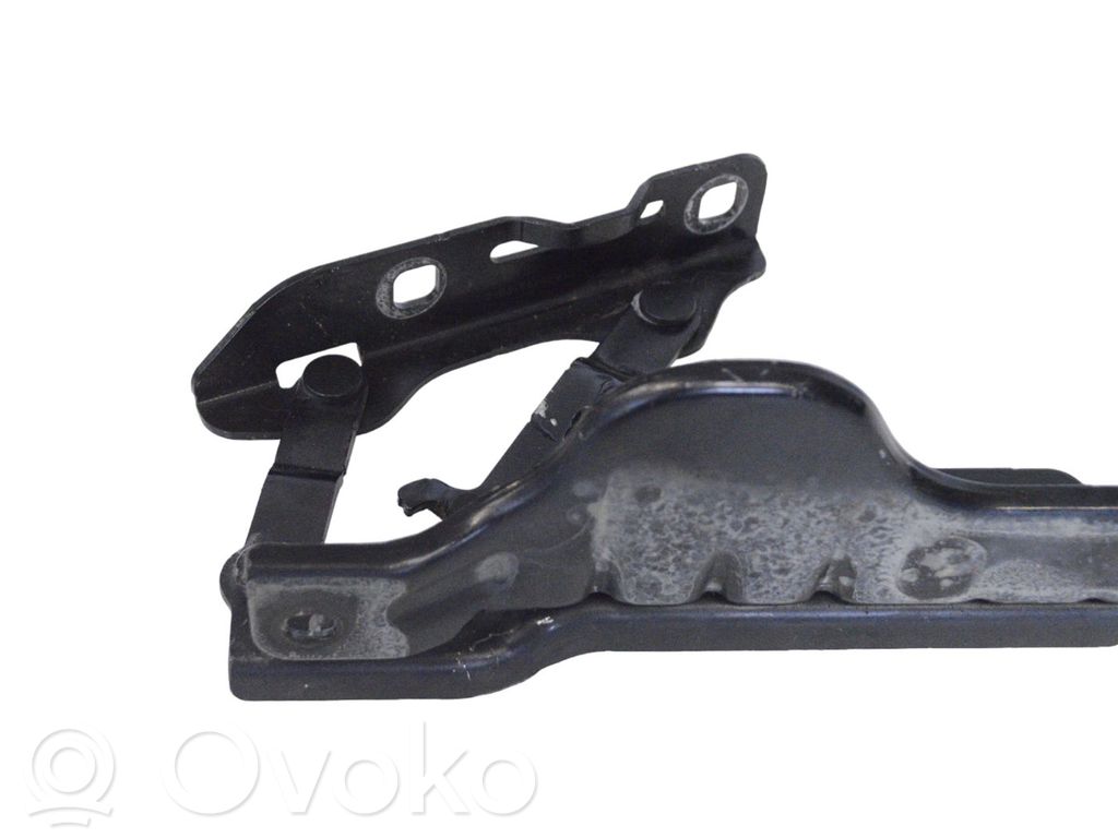 Tesla Model S Engine bonnet/hood hinges 