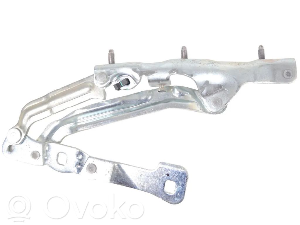 Tailgate/trunk/boot hinge   109282100C,1092821T4C