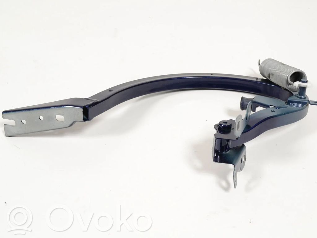 Audi A5 Tailgate/trunk/boot hinge 