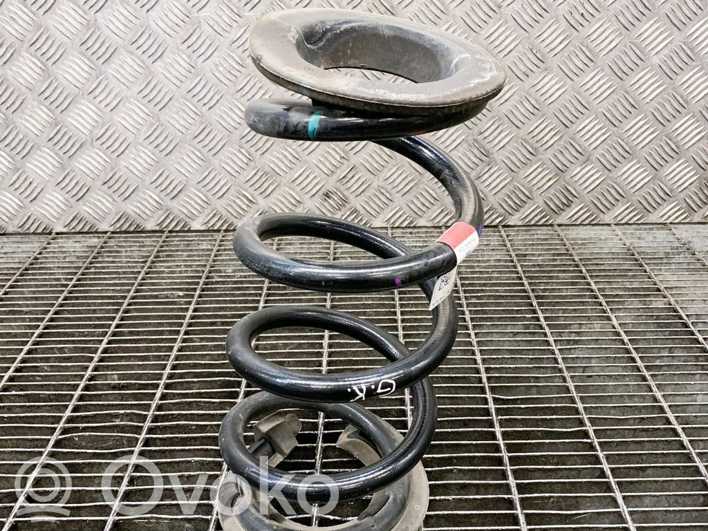 Tesla Model 3 Rear coil spring 
