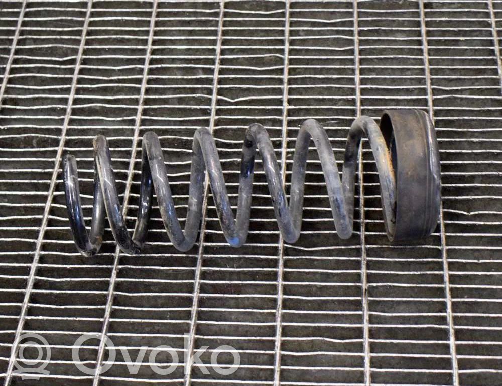Rear coil spring