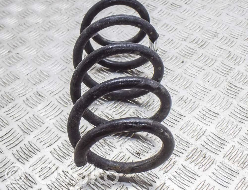 Rear coil spring   104447291E