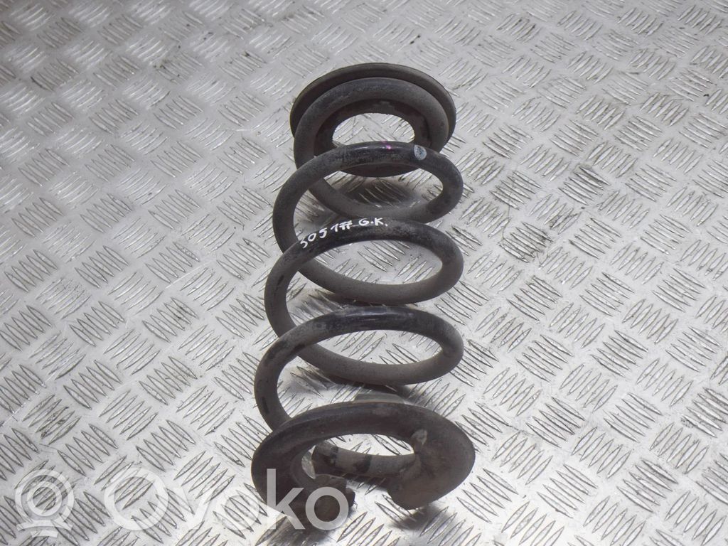 Rear coil spring   104447294A