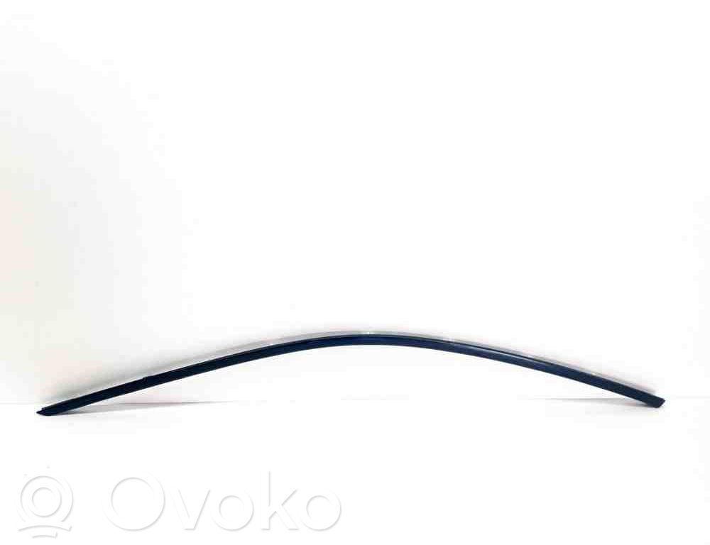 Listwa / Uszczelka szyby drzwi   4828475
