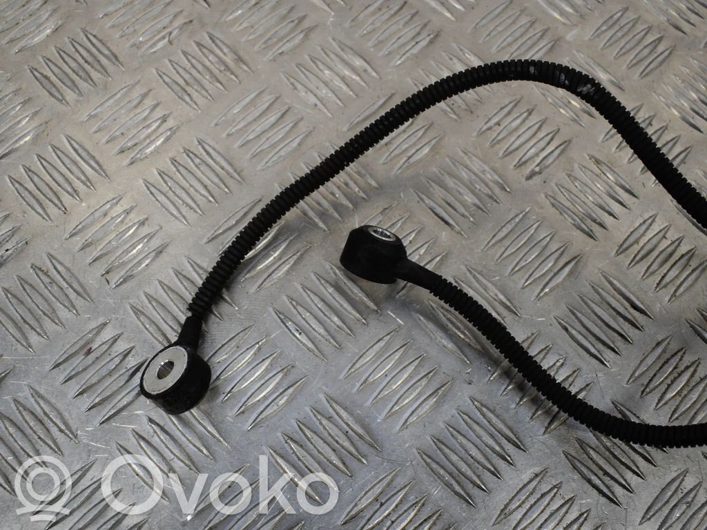 Detonation knock sensor   7566785