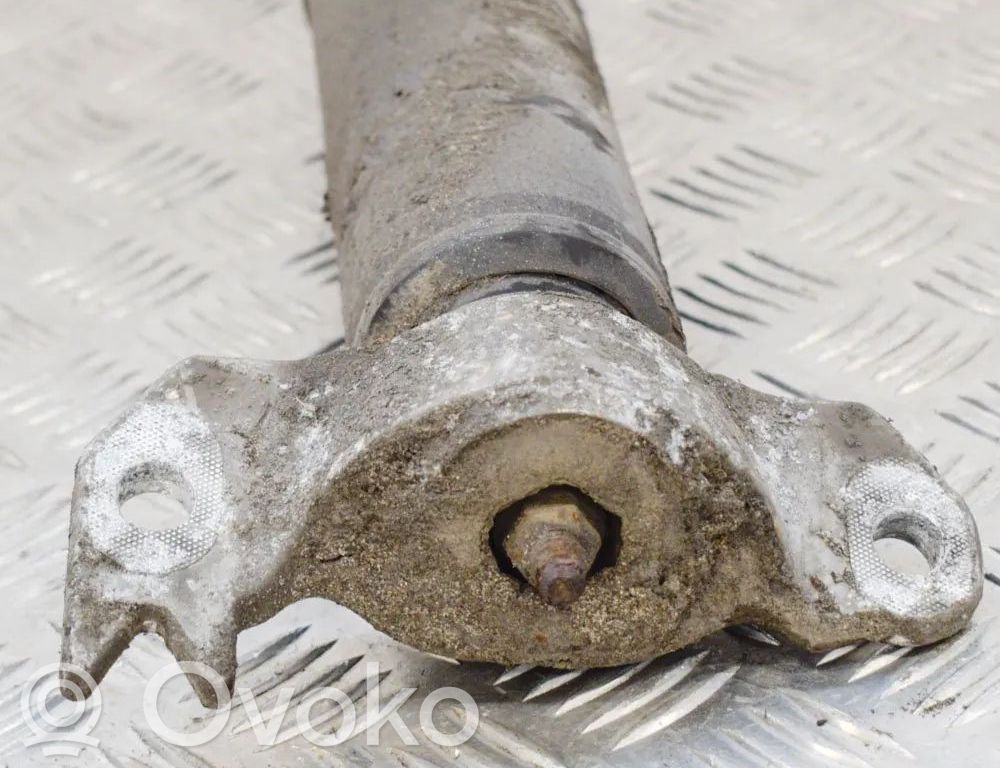 Stoßdämpfer hinten
