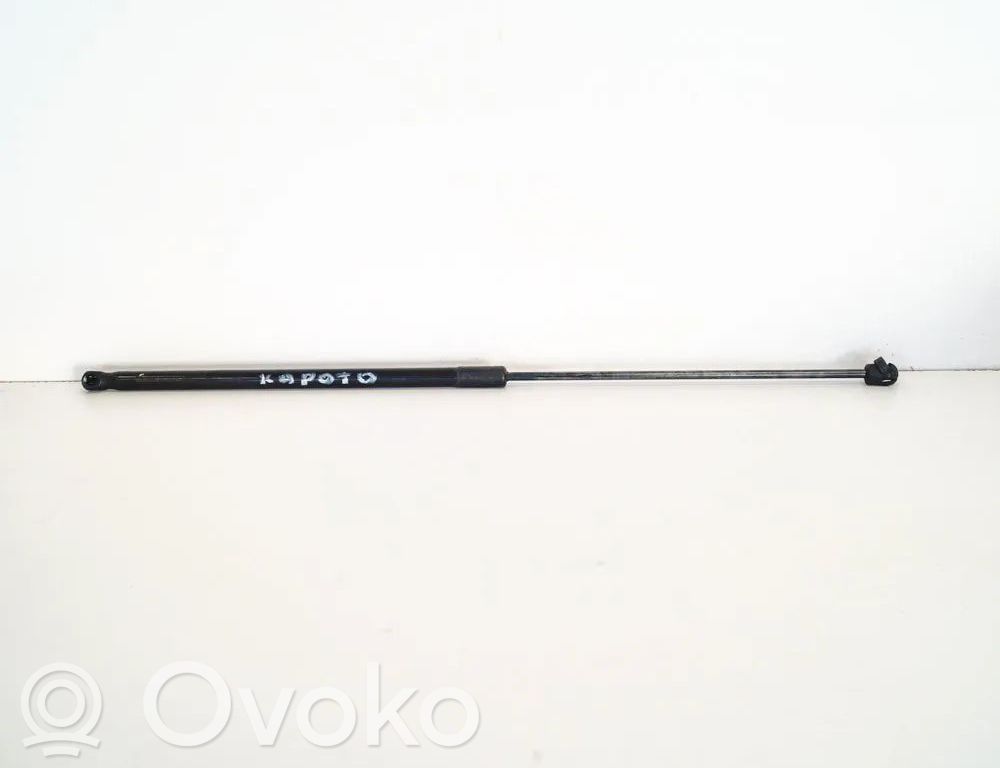 Opel Insignia A Ammortizzatore portellone anteriore/cofano